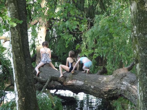 Trois filles sur un arbre
