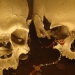 Nature morte